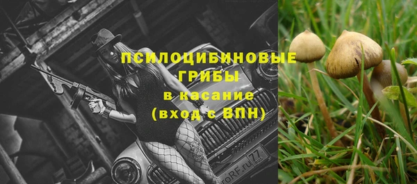 mdpv Пестово