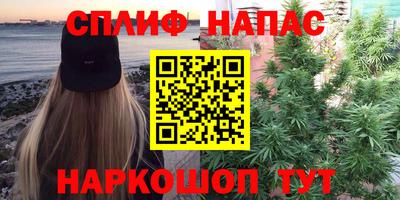 ECSTASY Беслан