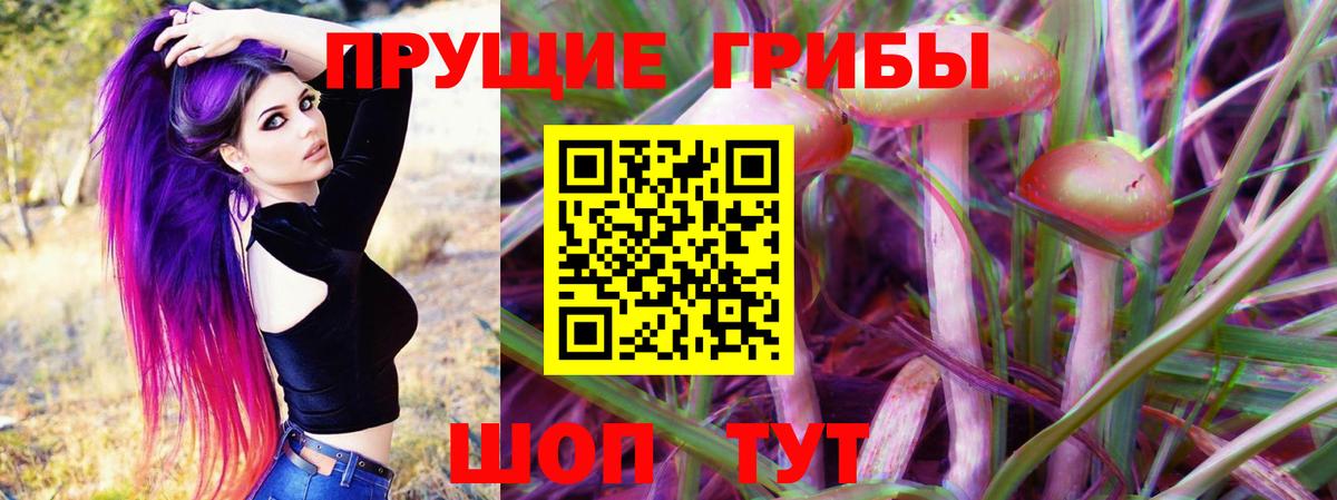 Галлюциногенные грибы GOLDEN TEACHER  где купить наркоту  Канск  Галлюциногенные грибы MAGIC MUSHROOMS  Вход с VPN 
